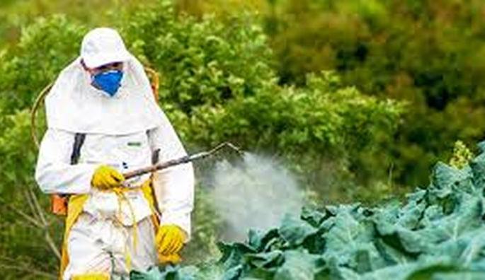 Awareness after contact poisoning; agriculture department | फवारणीतून विषबाधेच्या घटनेनंतर जागृती; कृषी विभागाचे वरातीमागून घोडे