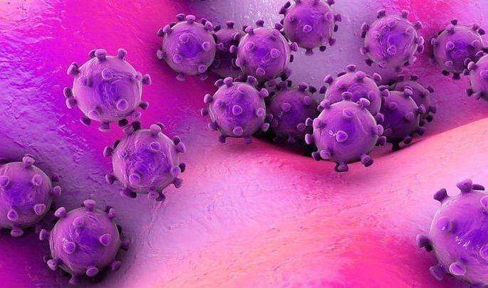 Provide a separate place to bury corona positive bodies | कोरोनाबाधित मृतदेह दफन करण्यासाठी वेगळी जागा द्या Provide a separate place to bury corona positive bodies | कोरोनाबाधित मृतदेह दफन करण्यासाठी वेगळी जागा द्या