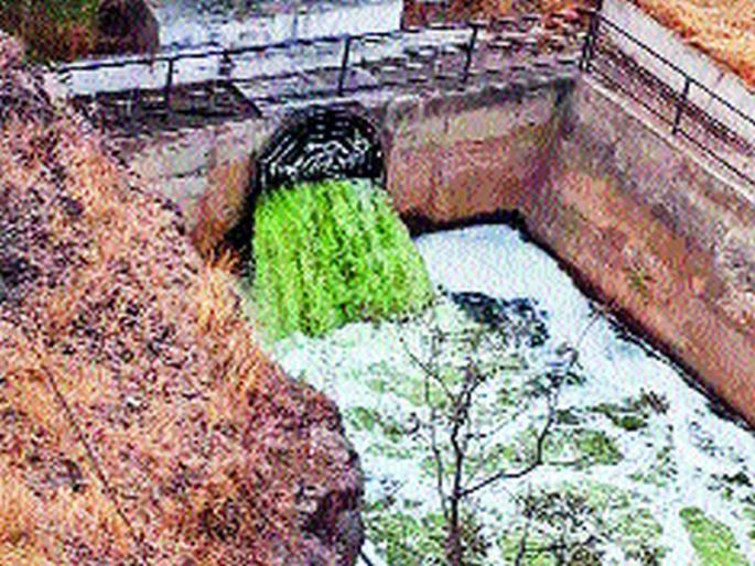Water supply is sufficient for Purandar Uma Yojana pumps | पुरंदर उपसा योजनेच्या पंपांना पाणीच पुरेना Water supply is sufficient for Purandar Uma Yojana pumps | पुरंदर उपसा योजनेच्या पंपांना पाणीच पुरेना