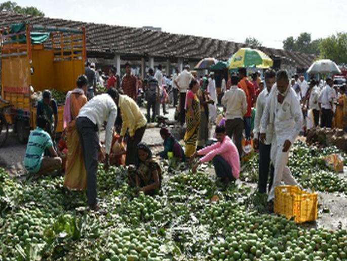 Large arrivals for pickles | लोणच्यासाठी कैऱ्यांची मोठी आवक Large arrivals for pickles | लोणच्यासाठी कैऱ्यांची मोठी आवक
