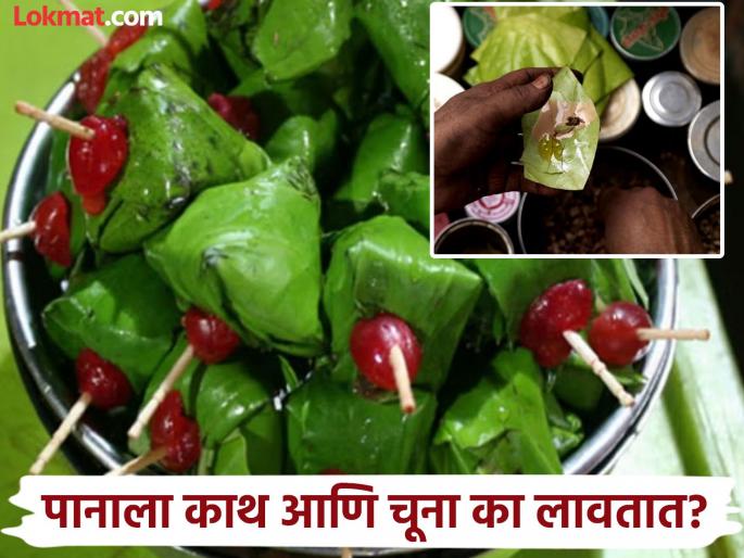 Why is lime and catechu used in Paan, know the reasons | पानाला चुना आणि काथ का लावला जातो? विडा खाता पण हे महत्वाचं कारण माहिती आहे का? Why is lime and catechu used in Paan, know the reasons | पानाला चुना आणि काथ का लावला जातो? विडा खाता पण हे महत्वाचं कारण माहिती आहे का?