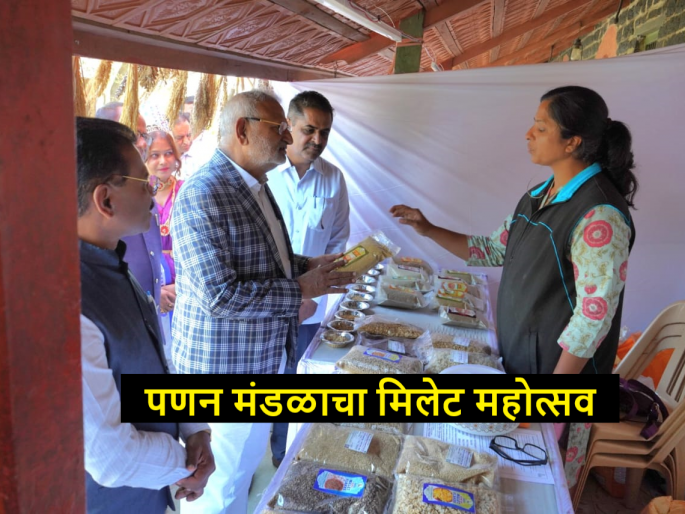 Latest News Agriculture News Panan Mandal's Millet Festival is being held in Nashik see details | Nashik Millet Festival : नाशिकमध्ये भरलाय पणन मंडळाचा मिलेट महोत्सव, काय-काय पाहायला मिळेल? 