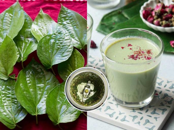 Holy 2026: Drink ‘Paan Shots’ while playing with colors this year! A drink so delicious that you will feel refresh | Holy 2026 : यंदा रंग खेळताना प्या ‘पान शॉट्स’! इतकं भन्नाट गारेगार ड्रिंक की पिऊन वाटेल गारेगार फ्रेश Holy 2026: Drink ‘Paan Shots’ while playing with colors this year! A drink so delicious that you will feel refresh | Holy 2026 : यंदा रंग खेळताना प्या ‘पान शॉट्स’! इतकं भन्नाट गारेगार ड्रिंक की पिऊन वाटेल गारेगार फ्रेश