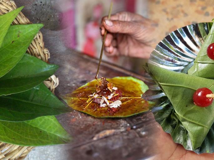 Not just for festivals, but always eat Betel leaf! Learn the tremendous health benefits of Betel leaf | उचला हा विडा! पान खाण्याचेही खूप फायदे आहेत, पण जरा जपून "असा" खा विडा!
