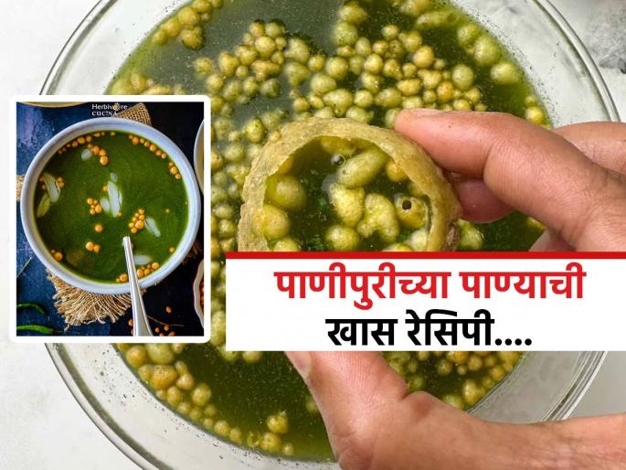 Panipuri Water Recipe : 4 secret ingredients to make Panipuri pani more tasty | ठेल्यावर मिळतं अगदी तसंच पाणीपुरीचं पाणी घरी करण्यासाठी लक्षात ठेवा ४ सिक्रेट गोष्टी, पाहा रेसिपी Panipuri Water Recipe : 4 secret ingredients to make Panipuri pani more tasty | ठेल्यावर मिळतं अगदी तसंच पाणीपुरीचं पाणी घरी करण्यासाठी लक्षात ठेवा ४ सिक्रेट गोष्टी, पाहा रेसिपी