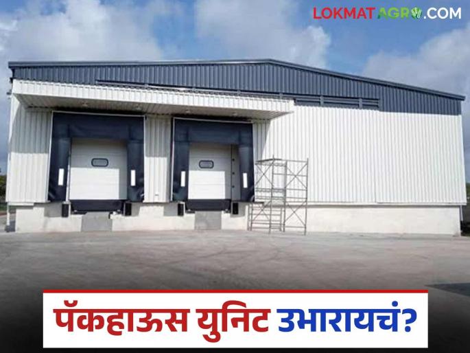Latest News Call for applications for construction of an integrated packhouse unit, read in detail | एकात्मिक पॅकहाऊस युनिट उभारणीसाठी अर्ज करण्याचे आवाहन, वाचा सविस्तर