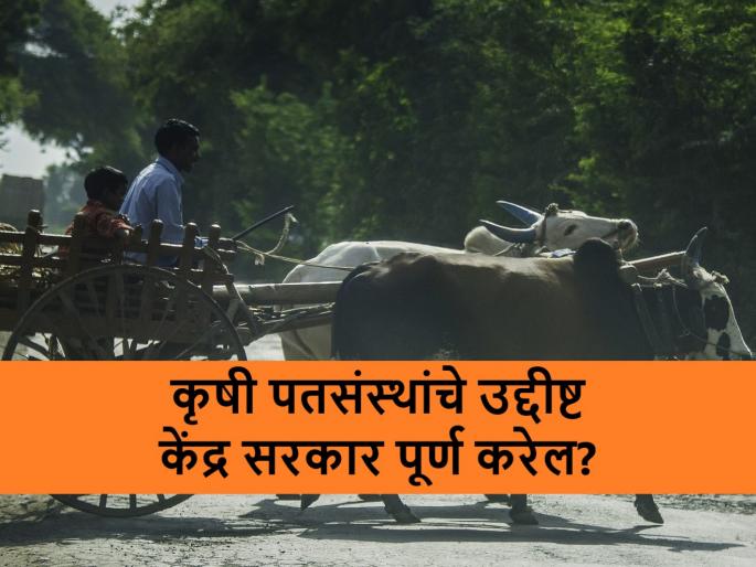 Multi State Cooperative Credit Societies will convert into banks government has fixed the target of registering 2 lakh new PACSs | आता मल्टीस्टेट सहकारी व कृषी पतसंस्थांची होणार बँक; देशात १२ हजार पॅक्स कार्यरत Multi State Cooperative Credit Societies will convert into banks government has fixed the target of registering 2 lakh new PACSs | आता मल्टीस्टेट सहकारी व कृषी पतसंस्थांची होणार बँक; देशात १२ हजार पॅक्स कार्यरत