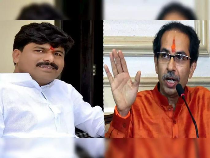 bjp mla gopichand padalkar criticised cm uddhav thackeray over unveiling of ahilyadevi holkar statue | मुख्यमंत्र्यांना अहिल्यादेवी होळकरांच्या पुतळ्याच्या अनावरणासाठी वेळ नाही- पडळकर