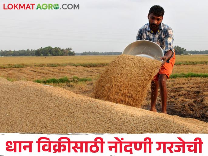 latest news Registration required for sale of paddy check paddy buying centers | शेतकऱ्यांनो! धान विक्रीसाठी आधी नोंदणी करा, 'ही' आहेत धान खरेदी केंद्रे