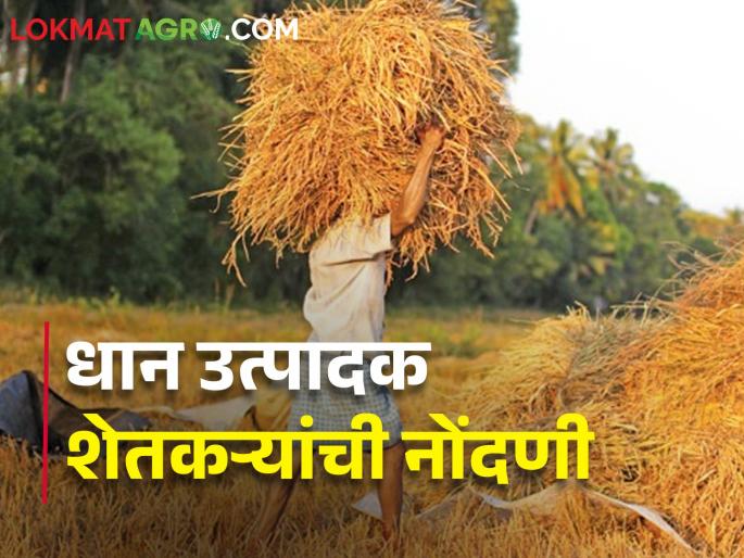 Latest News Call for online registration to paddy farmers | धान उत्पादक शेतकऱ्यांना ऑनलाईन नोंदणी महत्वाची का?  Latest News Call for online registration to paddy farmers | धान उत्पादक शेतकऱ्यांना ऑनलाईन नोंदणी महत्वाची का?