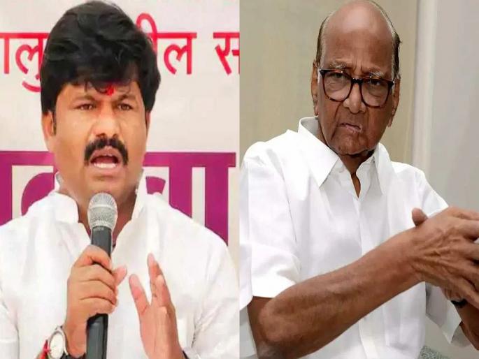 BJP MLA Gopichand Padalkar criticizes NCP Chief Sharad Pawar | महाराजांनी महाराष्ट्राला दिलेली तेजाची झळाळी शरद पवारांमुळे हरवली; पडळकरांची बोचरी टीका BJP MLA Gopichand Padalkar criticizes NCP Chief Sharad Pawar | महाराजांनी महाराष्ट्राला दिलेली तेजाची झळाळी शरद पवारांमुळे हरवली; पडळकरांची बोचरी टीका