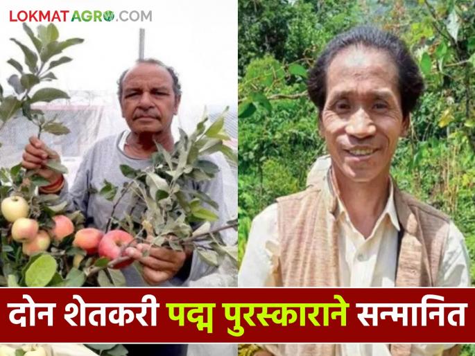 Latest News Padma Award 2025 L hangthing and hariman sharma these two farmers received the Padma Shri award | Padma Award 2025 : यंदा दोन शेतकऱ्यांना पद्मश्री पुरस्कार मिळाला, कोण आहेत हे शेतकरी? वाचा सविस्तर Latest News Padma Award 2025 L hangthing and hariman sharma these two farmers received the Padma Shri award | Padma Award 2025 : यंदा दोन शेतकऱ्यांना पद्मश्री पुरस्कार मिळाला, कोण आहेत हे शेतकरी? वाचा सविस्तर