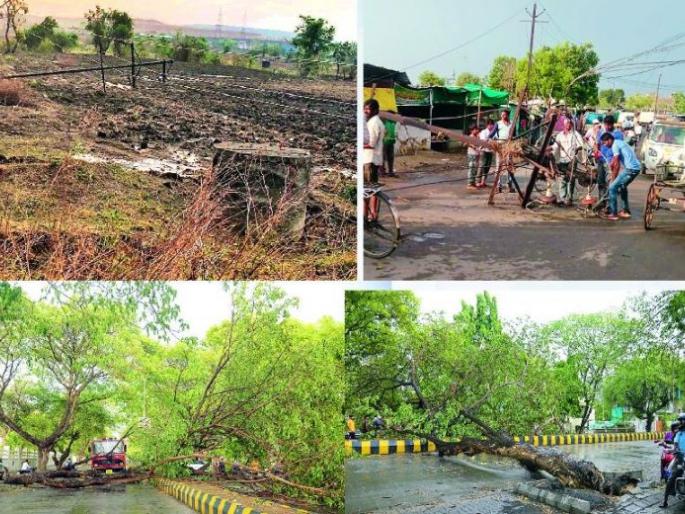 Storm of Nagpur: Lightning electric pole fell, trees fell | नागपुरात वादळाचा फटका : विजेचे खांब वाकले, झाडे पडली Storm of Nagpur: Lightning electric pole fell, trees fell | नागपुरात वादळाचा फटका : विजेचे खांब वाकले, झाडे पडली