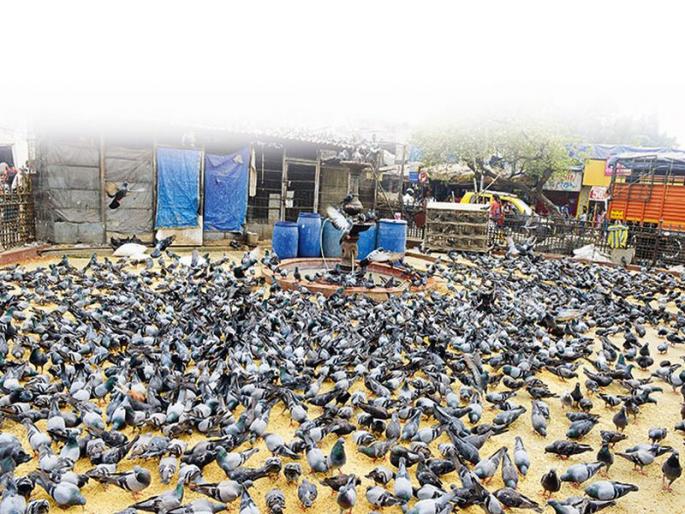 A tour of the world of troubled tragedy ... | ‘शांतिदूतां’च्या त्रासानं त्रस्त झालेल्यांच्या जगात एक फेरफटका.. A tour of the world of troubled tragedy ... | ‘शांतिदूतां’च्या त्रासानं त्रस्त झालेल्यांच्या जगात एक फेरफटका..