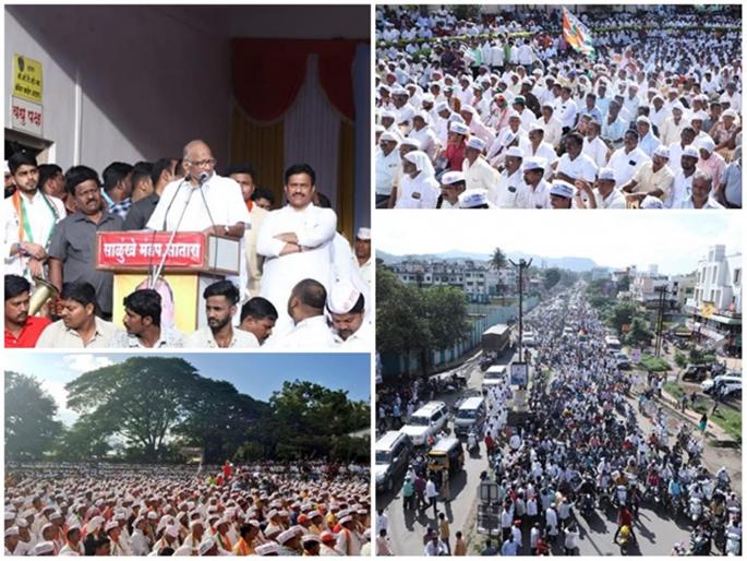 statement of Chief Ministers regarding Pawar Satarakars taken seriously | पवारांसंदर्भातील मुख्यमंत्र्यांचे 'ते' वक्तव्य सातारकरांच्या जिव्हारी ? गर्दीतून दिले उत्तर ! statement of Chief Ministers regarding Pawar Satarakars taken seriously | पवारांसंदर्भातील मुख्यमंत्र्यांचे 'ते' वक्तव्य सातारकरांच्या जिव्हारी ? गर्दीतून दिले उत्तर !