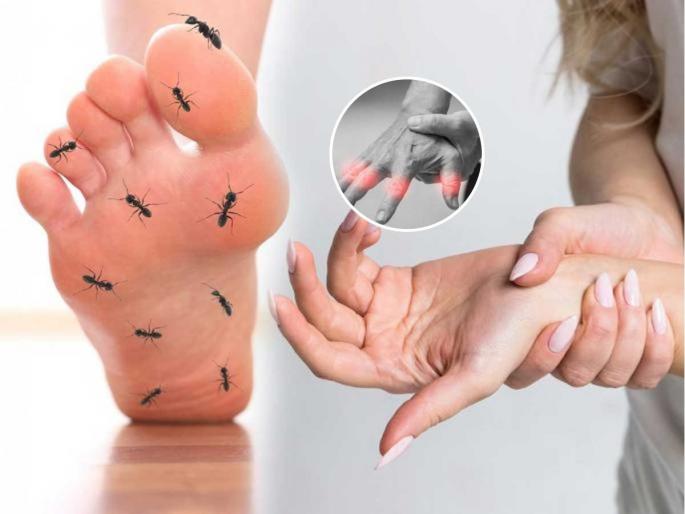 When you feel tingling in your hands and feet, do this simple exercise quickly. Tingling and heaviness can be signs of these problems | हातापायाला मुंग्या आल्यावर चटकन करा ‘हा’ सोपा व्यायाम, मुंग्या येणे-हातपाय जड होणे म्हणजे सोपा त्रास नव्हे.. When you feel tingling in your hands and feet, do this simple exercise quickly. Tingling and heaviness can be signs of these problems | हातापायाला मुंग्या आल्यावर चटकन करा ‘हा’ सोपा व्यायाम, मुंग्या येणे-हातपाय जड होणे म्हणजे सोपा त्रास नव्हे..