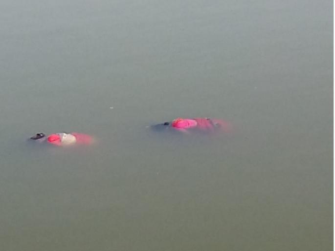 The family jumped into the Penganga River, who was tired of the drunken child's tragedy; Mother-doughter death | दारुड्या मुलाच्या त्रासास कंटाळून कुटुंबाची पैनगंगा नदीत उडी; मायलेकीचा मृत्यू The family jumped into the Penganga River, who was tired of the drunken child's tragedy; Mother-doughter death | दारुड्या मुलाच्या त्रासास कंटाळून कुटुंबाची पैनगंगा नदीत उडी; मायलेकीचा मृत्यू