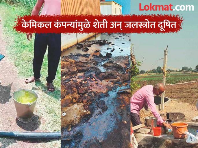 Thousands of acres of farmland and water sources near Paithan MIDC polluted with chemical-laden water | पैठण एमआयडीसीलगतची हजार एकर शेती अन् जलस्त्रोत केमिकलयुक्त पाण्याने प्रदूषित Thousands of acres of farmland and water sources near Paithan MIDC polluted with chemical-laden water | पैठण एमआयडीसीलगतची हजार एकर शेती अन् जलस्त्रोत केमिकलयुक्त पाण्याने प्रदूषित