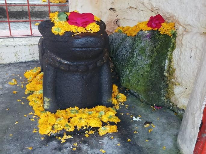 'Buffalo speaks Vedas'; Saint Gyaneshwar Maharaja's Historical event took place 733 years | 'रेड्याच्या मुखी वेद बोलविला'; ऐतिहासिक घटनेस झाले ७३३ वर्ष पूर्ण 