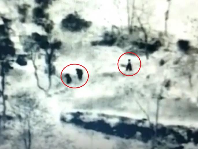 Narco Terrorism: pakistani trying to enter India ; one killed and two arrested | Narco Terrorism: रात्रीच्या अंधारात भारतात घुसण्याचा प्रयत्न; एकाचा एनकाउंटर दोघांना पकडले Narco Terrorism: pakistani trying to enter India ; one killed and two arrested | Narco Terrorism: रात्रीच्या अंधारात भारतात घुसण्याचा प्रयत्न; एकाचा एनकाउंटर दोघांना पकडले