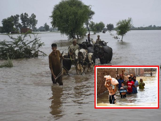 Natural disaster in Pakistan More than 1000 people die due to heavy rains and floods | पाकिस्तानात निसर्गाचा हाहाकार; मुसळधार पाऊस अन् पुरामुळे 1 हजारहून अधिक जणांचा मृत्यू Natural disaster in Pakistan More than 1000 people die due to heavy rains and floods | पाकिस्तानात निसर्गाचा हाहाकार; मुसळधार पाऊस अन् पुरामुळे 1 हजारहून अधिक जणांचा मृत्यू