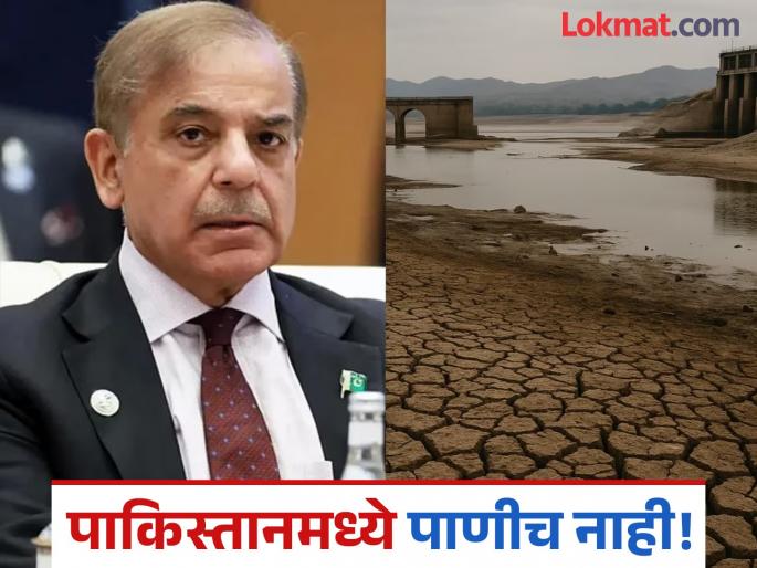 Water scarcity in Pakistan, major impact on crop sowing | भारताशी पंगा घेणं पडतंय महागात! पाकिस्तानमध्ये पाण्यासाठी हाहाकार, पीक पेरणीवरही मोठा परिणाम  Water scarcity in Pakistan, major impact on crop sowing | भारताशी पंगा घेणं पडतंय महागात! पाकिस्तानमध्ये पाण्यासाठी हाहाकार, पीक पेरणीवरही मोठा परिणाम