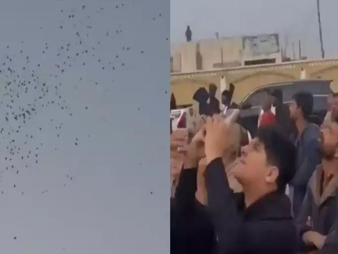 A plane rains down banknotes on the bride's house! | नवरीच्या घरावर विमानातून नोटांची बरसात! A plane rains down banknotes on the bride's house! | नवरीच्या घरावर विमानातून नोटांची बरसात!