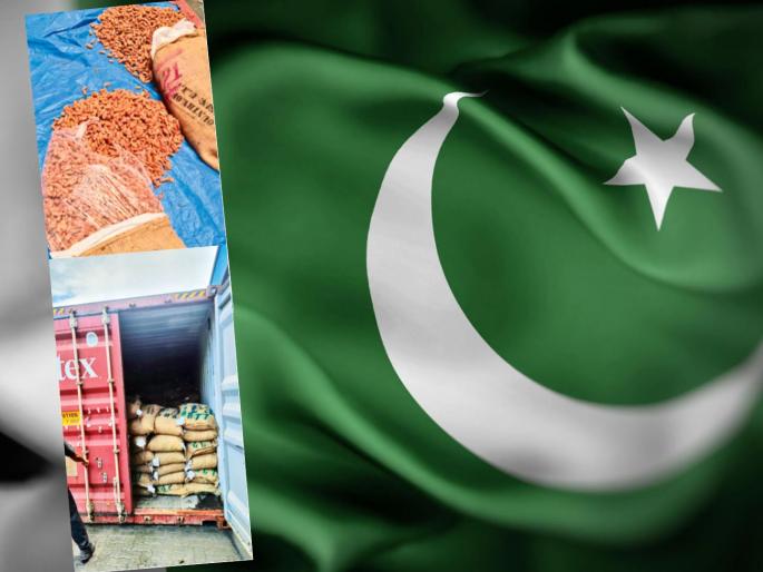 Navi Mumbai: 39 Pakistani containers seized at JNPA port, DRI takes action; Goods worth nine crores seized | नवी मुंबई: जेएनपीए बंदरात पाकिस्तानचे ३९ कंटेनर जप्त, ‘डीआरआय’ची धडक कारवाई; नऊ कोटींचा माल हस्तगत