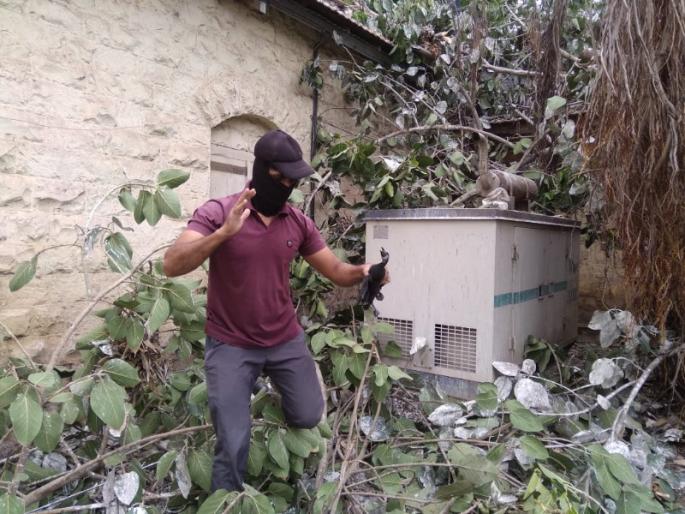 Annoying! Death of 70 to 80 birds between cutting of trees at Rajgurunagar | संतापजनक! राजगुरुनगर येथे झाडांची छाटणी बेतली पक्षांच्या मुळावर; ७० ते ८० पक्षांचा मृत्यू Annoying! Death of 70 to 80 birds between cutting of trees at Rajgurunagar | संतापजनक! राजगुरुनगर येथे झाडांची छाटणी बेतली पक्षांच्या मुळावर; ७० ते ८० पक्षांचा मृत्यू