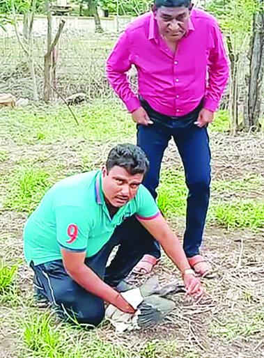 The bird was trapped in a muddy mood while taking a bribe; With the help of the birds and people, they were all set! | भरारी घेता-घेता पक्षी पतंगाच्या मांजात फसला; पक्षीप्रेमी अन् लोकांच्या मदतीने सुखरूप सुटला ! The bird was trapped in a muddy mood while taking a bribe; With the help of the birds and people, they were all set! | भरारी घेता-घेता पक्षी पतंगाच्या मांजात फसला; पक्षीप्रेमी अन् लोकांच्या मदतीने सुखरूप सुटला !