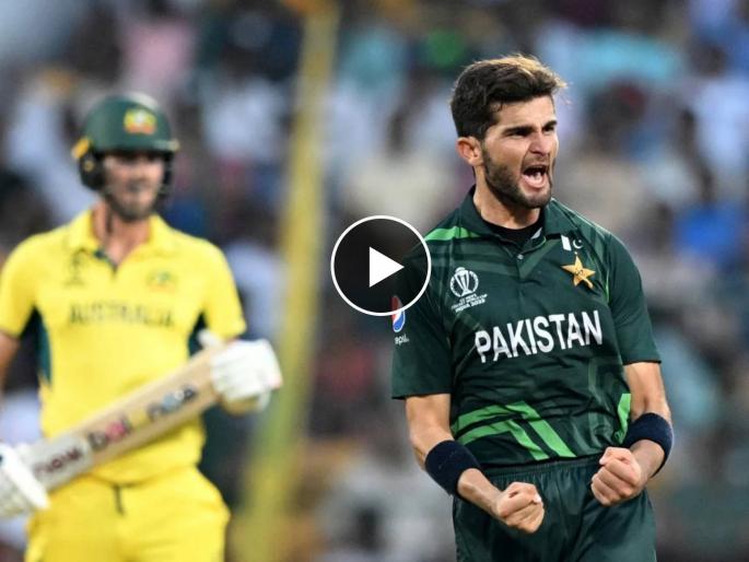 ICC ODI World Cup PAK vs AUS Live :  Shaheen Shah Afridi equal record with Shahid Afridi; Pakistan bowlers with most World Cup five-fors, Video | जावई शाहीनची सासरेबुवा शाहिद आफ्रिदीच्या विक्रमाशी बरोबरी, तरीही पाकिस्तानची नकोशी कामगिरी 