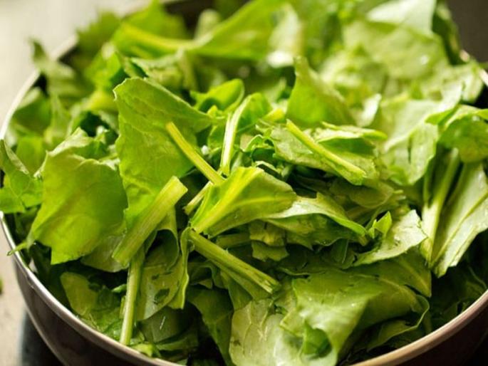 spinach is beneficial for skin and hair | त्वचेवरील वाढत्या वयाची लक्षणं कमी करण्यासाठी पालक ठरते गुणकारी!