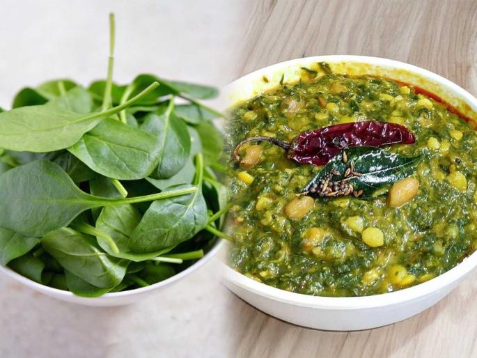 spinach curry recipe, it tastes delicious, see the traditional spinach vegetable recipe - easy to make | पालकाची पातळ भाजीही लागते चमचमीत, पाहा पालकाच्या भाजीची पारंपरिक रेसिपी-चवीला मस्त-करायला सोपी spinach curry recipe, it tastes delicious, see the traditional spinach vegetable recipe - easy to make | पालकाची पातळ भाजीही लागते चमचमीत, पाहा पालकाच्या भाजीची पारंपरिक रेसिपी-चवीला मस्त-करायला सोपी