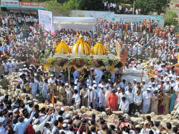 Video: Sheep ran to the arena...! Alarm Harinamacha...! In Indapur, the rams of sheep surround the palanquins of Tukobs | Video: मेंढ्या धावल्या रिंगणी...! गजर हरिनामाचा...! इंदापूरात तुकोबांच्या पालखीभोवती मेंढ्यांचे रिंगण Video: Sheep ran to the arena...! Alarm Harinamacha...! In Indapur, the rams of sheep surround the palanquins of Tukobs | Video: मेंढ्या धावल्या रिंगणी...! गजर हरिनामाचा...! इंदापूरात तुकोबांच्या पालखीभोवती मेंढ्यांचे रिंगण