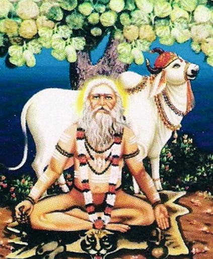 Religious activities at Sachkheda | साखरखेर्डा येथे धार्मिक कार्यक्रमांची रेलचेल Religious activities at Sachkheda | साखरखेर्डा येथे धार्मिक कार्यक्रमांची रेलचेल