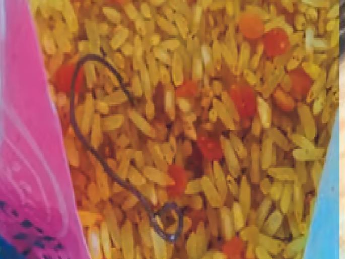 Nutrition food warehouse in Palus sealed by officials, samples sent to lab for testing | Sangli: पलूसमधील पोषण आहाराचे गोदाम अधिकाऱ्यांकडून सील, नमुने तपासणीसाठी प्रयोगशाळेकडे Nutrition food warehouse in Palus sealed by officials, samples sent to lab for testing | Sangli: पलूसमधील पोषण आहाराचे गोदाम अधिकाऱ्यांकडून सील, नमुने तपासणीसाठी प्रयोगशाळेकडे