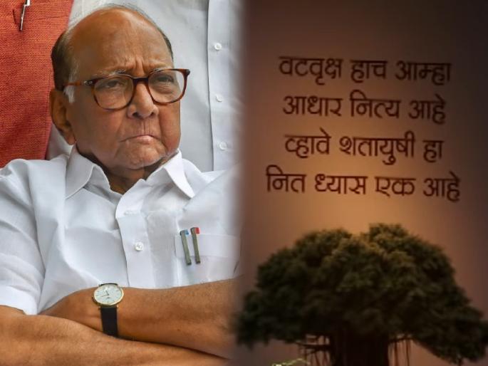 Sharad Pawar's party new name and symbol will be decided; It will come before 4 o'clock | ठरलं! शरद पवारांच्या पक्षाचं नाव अन् चिन्ह 'हे' असणार?; ४ वाजेपर्यंत समोर येणार Sharad Pawar's party new name and symbol will be decided; It will come before 4 o'clock | ठरलं! शरद पवारांच्या पक्षाचं नाव अन् चिन्ह 'हे' असणार?; ४ वाजेपर्यंत समोर येणार