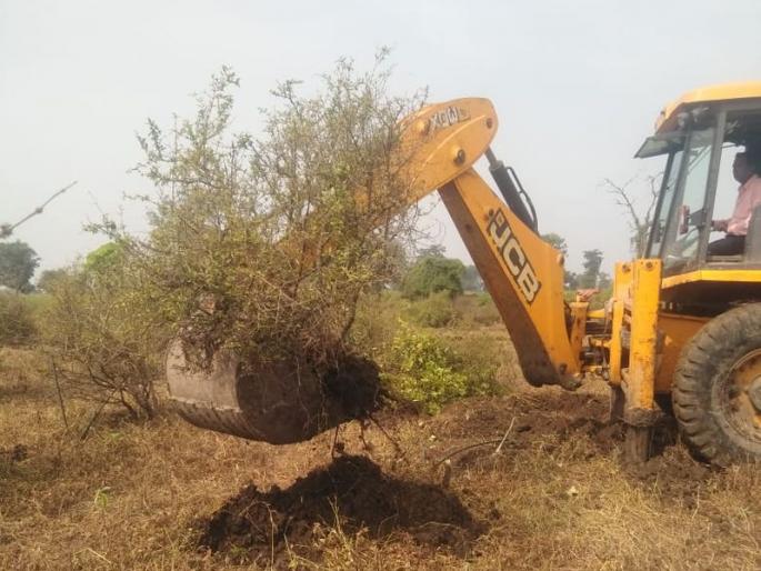 Farmers uprooted pomegranate garden due to no cost of production! | उत्पादन खर्चही न निघाल्याने शेतकऱ्याने उपटली डाळींब बाग! Farmers uprooted pomegranate garden due to no cost of production! | उत्पादन खर्चही न निघाल्याने शेतकऱ्याने उपटली डाळींब बाग!