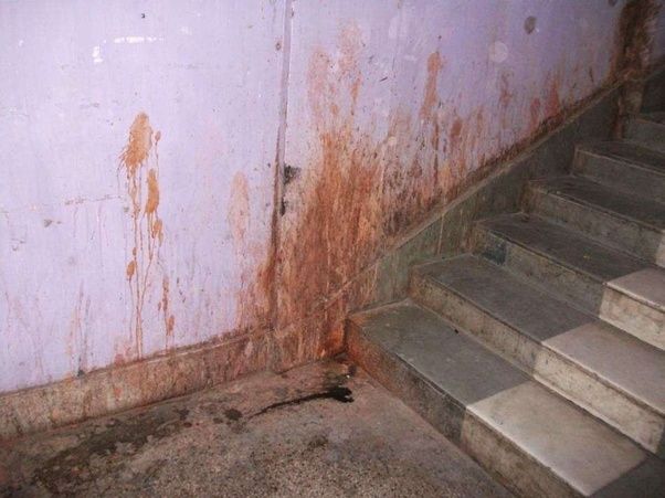 mumbai college girls find new way to remove paan stains | पिचकाऱ्यांचे डाग आता सहज जाणार, विद्यार्थ्यांनी शोधलं नवं तंत्रज्ञान  mumbai college girls find new way to remove paan stains | पिचकाऱ्यांचे डाग आता सहज जाणार, विद्यार्थ्यांनी शोधलं नवं तंत्रज्ञान