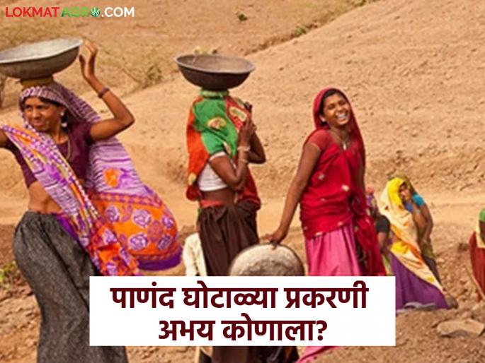 latest news MGNREGA Scheme: Investigation of employment officers in Panand scam case complete; Are engineers safe? read in details | MGNREGA Scheme : पाणंद घोटाळ्या प्रकरणी रोजगार सेवकांची चौकशी पूर्ण; अभियंत्यांना अभय का? वाचा सविस्तर