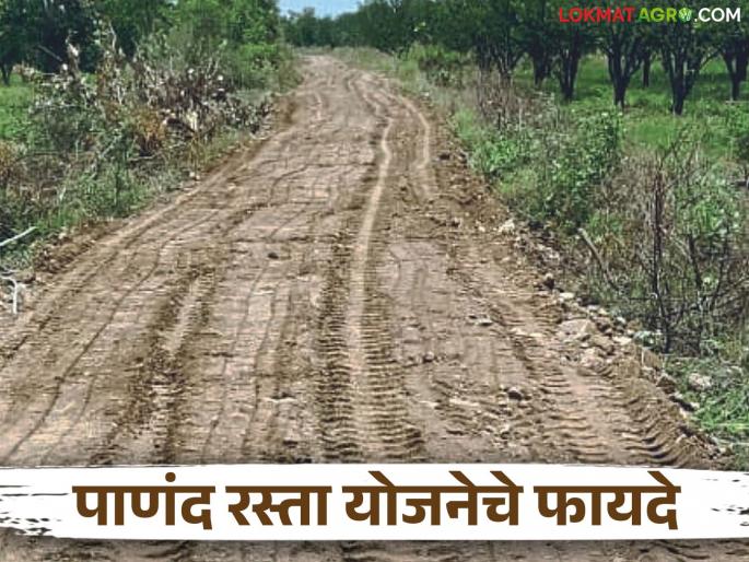 Panand road: latest news Farmers' prosperity through Matoshree Gram Samriddhi Panand Road Scheme; 'This' will be available for free Read in detail | Panand road : मातोश्री ग्रामसमृद्धी पाणंद रस्ते योजनेतून शेतकऱ्यांची समृद्धी; 'हे' मिळणार विनामूल्य वाचा सविस्तर Panand road: latest news Farmers' prosperity through Matoshree Gram Samriddhi Panand Road Scheme; 'This' will be available for free Read in detail | Panand road : मातोश्री ग्रामसमृद्धी पाणंद रस्ते योजनेतून शेतकऱ्यांची समृद्धी; 'हे' मिळणार विनामूल्य वाचा सविस्तर