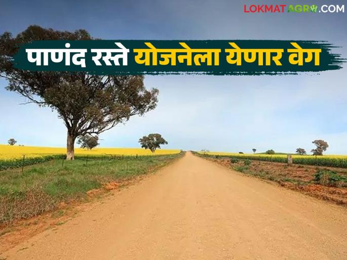 Approval to implement Chief Minister Baliraja Shet Panand Road Scheme in the state; What facilities will farmers get? | राज्यात मुख्यमंत्री बळीराजा शेत पाणंद रस्ते योजना राबविण्यास मंजुरी; शेतकऱ्यांना कोणत्या सुविधा मिळणार? Approval to implement Chief Minister Baliraja Shet Panand Road Scheme in the state; What facilities will farmers get? | राज्यात मुख्यमंत्री बळीराजा शेत पाणंद रस्ते योजना राबविण्यास मंजुरी; शेतकऱ्यांना कोणत्या सुविधा मिळणार?