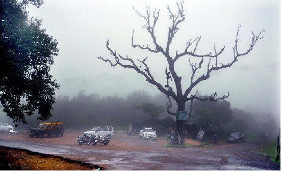 Politics of Panvel-Shahuwadi: Politics of development | पन्हाळा-शाहूवाडीत श्रेयवादाचे राजकारण : विकासकामांचा बोलबाला Politics of Panvel-Shahuwadi: Politics of development | पन्हाळा-शाहूवाडीत श्रेयवादाचे राजकारण : विकासकामांचा बोलबाला