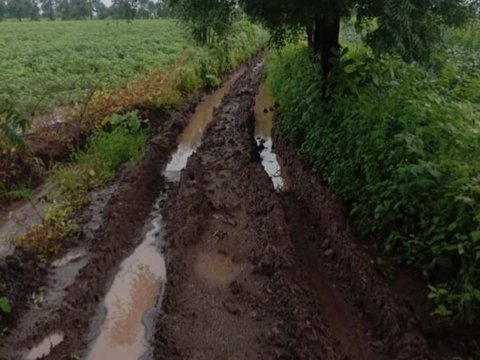 When will the car reach the farm land; In Chhatrapati Sambhajinagar district, 349 Panand roads have been completed so far | शेतीच्या बांधापर्यंत कधी जाईल कार; छत्रपती संभाजीनगर जिल्ह्यात आतापर्यंत ३४९ पाणंद रस्ते पूर्ण When will the car reach the farm land; In Chhatrapati Sambhajinagar district, 349 Panand roads have been completed so far | शेतीच्या बांधापर्यंत कधी जाईल कार; छत्रपती संभाजीनगर जिल्ह्यात आतापर्यंत ३४९ पाणंद रस्ते पूर्ण