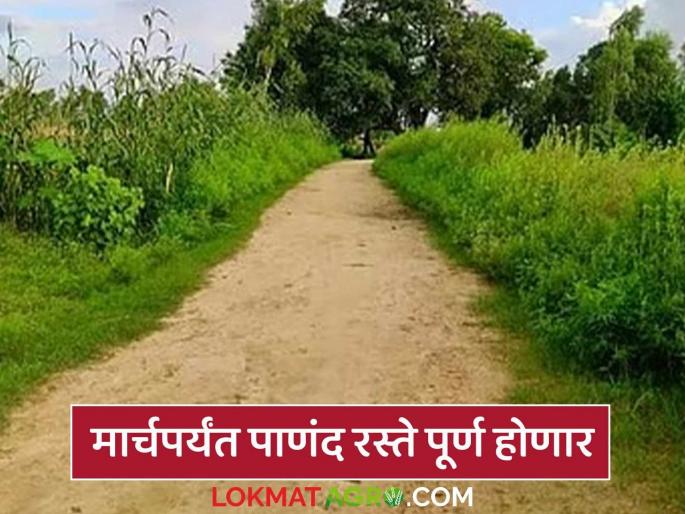 latest news 45 thaousand km of Panand raste will be constructed by end of March, funds will be distributed in eight days | मार्चअखेर 45 हजार किलोमीटरचे लांबीचे पाणंद रस्ते होणार, आठ दिवसांत निधीचे वितरण latest news 45 thaousand km of Panand raste will be constructed by end of March, funds will be distributed in eight days | मार्चअखेर 45 हजार किलोमीटरचे लांबीचे पाणंद रस्ते होणार, आठ दिवसांत निधीचे वितरण