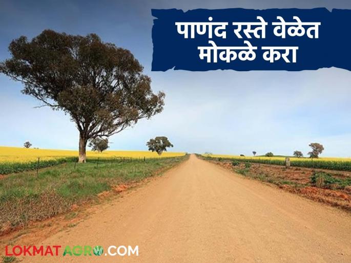 Panand Raste : It is mandatory to clear encroachments on Panand roads in time, otherwise disciplinary action will be taken. | Panand Raste : पाणंद रस्ते वेळेत अतिक्रमणमुक्त करणे बंधनकारक अन्यथा शिस्तभंगाची कारवाई Panand Raste : It is mandatory to clear encroachments on Panand roads in time, otherwise disciplinary action will be taken. | Panand Raste : पाणंद रस्ते वेळेत अतिक्रमणमुक्त करणे बंधनकारक अन्यथा शिस्तभंगाची कारवाई
