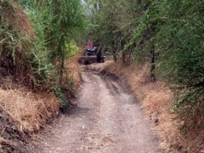 In Dharashiv, In nine months, 308 farms became encroachment-free; Benefit to 9707 farmers | नऊ महिन्यात ३०८ शेतरस्ते झाले अतिक्रमणमुक्त; ९७०७ शेतकऱ्यांना लाभ In Dharashiv, In nine months, 308 farms became encroachment-free; Benefit to 9707 farmers | नऊ महिन्यात ३०८ शेतरस्ते झाले अतिक्रमणमुक्त; ९७०७ शेतकऱ्यांना लाभ