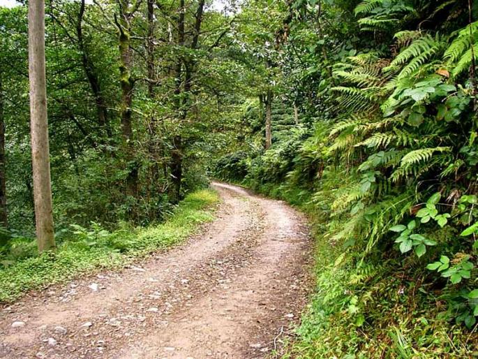 Now the decision of roads, cabinet decision by government money | आता सरकारी पैशांतून शेतांपर्यंत रस्ते, मंत्रिमंडळाचा महत्त्वपूर्ण निर्णय Now the decision of roads, cabinet decision by government money | आता सरकारी पैशांतून शेतांपर्यंत रस्ते, मंत्रिमंडळाचा महत्त्वपूर्ण निर्णय