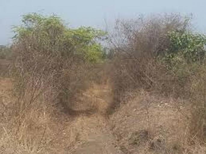 Guardian Minister's farm, Rs.1.5 crores fund for Panand road scheme, instructions for submission of action plan on district level | पालकमंत्री शेत, पाणंद रस्ते योजनेसाठी दीड कोटींचा निधी Guardian Minister's farm, Rs.1.5 crores fund for Panand road scheme, instructions for submission of action plan on district level | पालकमंत्री शेत, पाणंद रस्ते योजनेसाठी दीड कोटींचा निधी