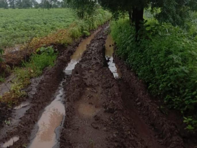 Encroachment on Panand road; Disadvantage of hundreds of farmers | पाणंद रस्त्यावर अतिक्रमण; शेकडो शेतकऱ्यांची गैरसोय Encroachment on Panand road; Disadvantage of hundreds of farmers | पाणंद रस्त्यावर अतिक्रमण; शेकडो शेतकऱ्यांची गैरसोय